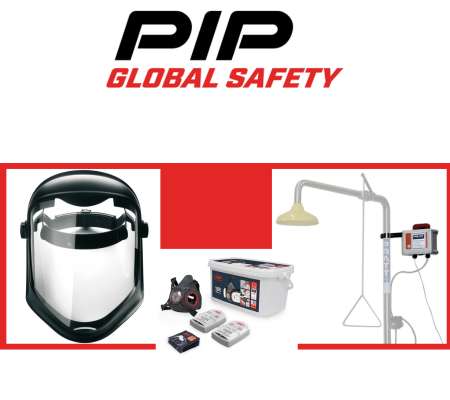 PIP Global